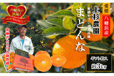 ギフト対応化粧箱入・上杉農園のぷるぷる新食感!「マドンナ」約3kg＜D39-16＞_みかん ミカン マドンナ 紅まどんな同品種 柑橘 柑橘類 フルーツ 果物 くだもの 人気 美味しい 愛媛県 八幡浜 ふるさと【1251804】