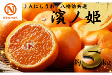 JAにしうわの季節の柑橘(八幡浜共選「濱ノ姫」約5kg)＜E08-41＞【1443319】