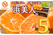 JAにしうわの季節の柑橘(八幡浜共選「浜美人」約5kg)＜D08-42＞【1443324】