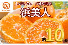 JAにしうわの季節の柑橘(八幡浜共選「浜美人」約10kg)＜G08-43＞【1443334】