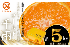 JAにしうわの季節の柑橘(日の丸共選「ゴールド千兩」約5kg)＜F08-45＞_ みかん ミカン 柑橘 フルーツ くだもの 果物 ふるーつ 青果 果実 甘い ジューシー 産直 産地直送 旬 柑橘類 人気 愛媛 果汁 八幡浜市 JA 農協 【1443339】