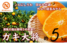 JAにしうわの季節の柑橘(日の丸共選「ガキ大将」約5kg)＜C08-47＞【1443352】