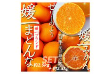 ＜2025年11月以降発送＞「媛一みかん」と「媛一まどんな」の2品種・約5kg＜C28-29＞_みかん ミカン マドンナ 紅まどんな同品種 柑橘 柑橘類 フルーツ 果物 くだもの 人気 美味しい 愛媛県 八幡浜 ふるさと【1119673】