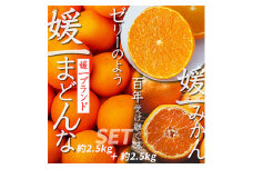 ＜2025年11月以降発送＞「媛一みかん」と「媛一まどんな」の2品種・約5kg＜C28-29＞_みかん ミカン マドンナ 紅まどんな同品種 柑橘 柑橘類 フルーツ 果物 くだもの 人気 美味しい 愛媛県 八幡浜 ふるさと【1119673】