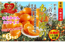 濃厚!やまご農園の「あけぼの小玉」約6kg＜C39-21＞_ みかん ミカン 柑橘 温州 果物 くだもの フルーツ 旬 愛媛 コク 甘み 国産 産直 産地直送 小玉 旬 濃厚 冷蔵 高糖度 極早生 【1148837】