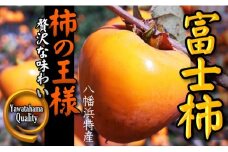 高糖度で滑らかな食感!八幡浜が誇るブランド柿「富士柿」＜C28-32＞【1089670】