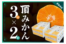 三代目がつくる＜頂みかん＞3kg×2箱＜D31-21＞_ みかん ミカン 柑橘 フルーツ 果物 くだもの 青果 産地直送 産直 3kg セット 2箱 【1503338】