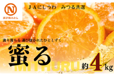 JAにしうわの季節の柑橘(みつる共選「蜜る」約4kg)＜D08-48＞【1443355】