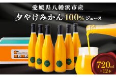 ＜SUNSET＞夕やけみかん100%ジュース(12本入)＜H49-7＞【1304853】