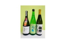 ワイングラスで美味しい日本酒アワード2020　プレミアム大吟醸の部　金賞酒セット＜H52-1＞_ 日本酒 酒 純米大吟醸 大吟醸 石鎚 梅錦 山丹正宗 飲み比べ セット 日本酒アワード お酒 金賞 【1491284】