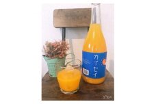 カイセイみかんジュース(2本)＜C56-1＞_ みかん ミカン ジュース ミカンジュース みかんジュース ストレート 100% フルーツ くだもの 果物 甘い 旬 温州 うんしゅう 産地直送 産直 程よい酸味 セット 無添加 【1120183】