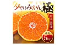 ＜甘みが濃縮されたみかん＞愛媛で育った夕やけみかん＜極＞5kg＜D49-8＞【1243461】