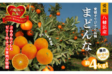 2025年11月発送開始　ぷるぷる新食感「マドンナ」約4kg　＜D39-31＞【1149494】
