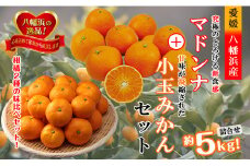 2025年11月発送開始　ぷるぷる新食感!「マドンナ」+濃厚!「小玉みかん」約5kg＜D39-32＞【1252242】