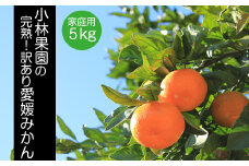 小林果園の愛媛みかん(約5kg)＜訳あり＞＜C24-15＞【1124421】