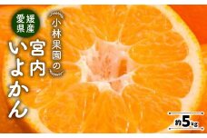 小林果園の宮内いよかん(約5kg)＜C24-19＞_ みかん ミカン 柑橘 いよかん 伊予柑 フルーツ くだもの 果物 ふるーつ 青果 果実 甘い ジューシー 産直 産地直送 旬 柑橘類 人気 愛媛 果汁 八幡浜市 【1124425】