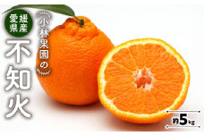 小林果園の不知火(約5kg)＜C24-20＞_ みかん ミカン 柑橘 しらぬい 不知火 フルーツ くだもの 果物 ふるーつ 青果 果実 甘い ジューシー 産直 産地直送 旬 柑橘類 人気 愛媛 果汁 八幡浜市 【1124426】