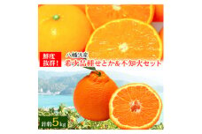 小林果園のせとか&不知火セット(各約2.5kg入)＜C24-21＞_ みかん ミカン 蜜柑 柑橘類 柑橘 フルーツ 果物 くだもの 人気 美味しい しらぬい 愛媛県 八幡浜市 ふるさと 【1124427】