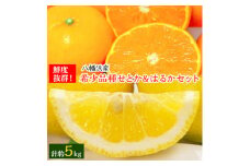 小林果園のせとか&はるかセット(各約2.5kg入)＜C24-23＞【1124429】