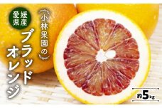 小林果園のブラッドオレンジ(約5kg)＜C24-24＞【1124430】