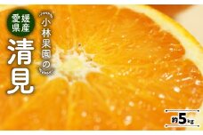 小林果園の清見(約5kg)＜C24-25＞_ みかん ミカン 柑橘 清見 きよみ フルーツ くだもの 果物 ふるーつ 青果 果実 甘い ジューシー 産直 産地直送 旬 柑橘類 人気 愛媛 果汁 八幡浜市 【1124431】