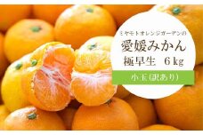 ＜2025年10月より順次発送＞シーズン一番採り!極早生みかん 小玉6kg＜訳あり＞＜C25-47＞【1248092】