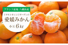 ＜2025年11月より順次出荷＞小さいみかんを厳選!愛媛みかん 小玉6kg＜訳あり＞＜C25-48＞【1248066】