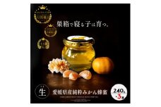 ～桁違いのコク!～愛媛県産!巣箱で寝かせた半熟成＜生みかん蜂蜜3本セット＞＜E61-3＞_ みかん はちみつ ハチミツ 蜂蜜 純粋蜂蜜 100% 柑橘 くだもの 果物 フルーツ みかんはちみつ 常温 デザート 産地直送 熟成 産直 愛媛 人気 【1429845】