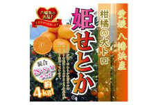 柑橘の大トロ!「姫せとか」約4kg　＜C39-33＞　【1262256】