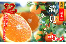 2026年3月出荷開始　完熟・果汁たっぷり!!「きよみ」約5kg　＜D39-34＞【1262235】