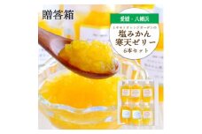 まるごと塩漬けにしたみかんを使用 塩みかん寒天ゼリー6 本セット ギフト箱入＜C25-61＞【1231054】
