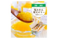 まるごと塩漬けにしたみかんを使用 塩みかん寒天ゼリー8本セット＜C25-62＞【1231056】