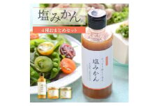 みかんがふわっと香るワンランク上のお料理に!愛媛の新しい調味料 塩みかん4種セット＜C25-65＞_ 調味料 塩みかん みかん 塩 しお ドレッシング サラダ カルパッチョ 魚料理 肉料理 味付け 愛媛 4種 セット 送料無料 【1228227】