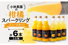 小林果園の柑橘スパークリングジュースセット(2品種・計6本)＜C24-28＞_ 柑橘 みかんジュース ジュース 果物 飲料 フルーツ ふるーつ 飲み比べ セット 甘い ジューシー 産直 産地直送 旬 柑橘類 人気 愛媛 【1233619】