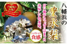 八幡浜の梨、果汁たっぷり!!「豊水」4キロ＜D39-37＞_ 梨 なし ナシ 豊水 果物 フルーツ くだもの 青果 果実 旬 季節限定 ジューシー 甘い 人気 愛媛 国産 産地直送 産直 日本梨 代表品種 【1316567】