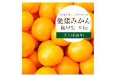 ＜2025年10月より順次発送＞シーズン一番採り 極早生みかん 大玉9kg＜訳あり＞＜C25-74＞【1148854】