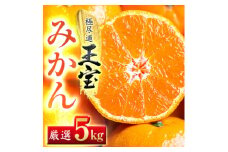 ＜愛媛名産＞玉宝みかん＜雫・・小玉＞(5kg)＜D64-2＞_ みかん ミカン 柑橘 フルーツ くだもの 果物 ふるーつ 青果 果実 甘い ジューシー 産直 産地直送 旬 柑橘類 人気 小玉 【1340914】