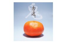 柑橘の鬼たちがつくる八幡浜産・温州みかん8kg[家庭用]＜C56-17＞_ みかん ミカン 柑橘 フルーツ くだもの 果物 青果 ふるーつ 甘い 温州 家庭用 ジューシー 旬 期間限定 【1252943】