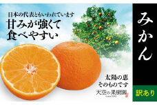 ＜ 訳あり ＞ 天空 の 果樹園 から届く そら みかん ( 10kg )＜E45-28＞【1339407】