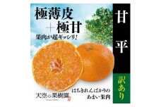 ＜訳あり＞天空の果樹園から届く そら甘平(5kg)＜D45-36＞【1339387】