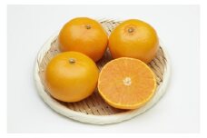 柑橘の鬼たちがつくる八幡浜産・せとか3kg ＜E56-20＞_ ワケアリ 訳アリ せとか 不揃い 規格外 ミカン みかん 常温 フルーツ 果物 くだもの 人気 柑橘 かんきつ 愛媛 旬 産地直送 産直 季節限定 家庭用 甘い 限定 傷 【1270402】