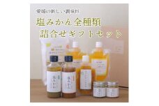 みかんがふわっと香る愛媛の新しい調味料 塩みかん全種詰め合わせセット＜D25-81＞【1305615】
