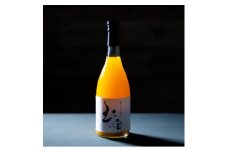 ＜無添加＞玉宝みかんジュース(720ml×12本)＜H64-6＞_ みかん ミカン 柑橘 みかんジュース ミカンジュース くだもの 果物 青果 フルーツ ふるーつ 果実 甘い ジューシー 産直 産地直送 旬 柑橘類 人気 愛媛 八幡浜市 【1304930】