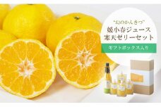 愛媛でしか栽培できない希少柑橘 媛小春(ひめこはる)のジュースと寒天ゼリーセット＜D25-84＞_柑橘 フルーツ 果物 くだもの 媛小春 希少 ジュース ゼリー セット 寒天 人気 おすすめ 送料無料 愛媛県 八幡浜市【1309625】