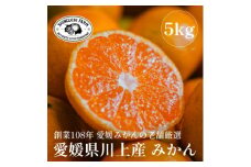 愛媛みかんの老舗厳選＜愛媛県川上産 みかん5kg＞新口農園＜C70-1＞【1440738】