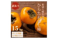 《秋の味覚 種なしで食べやすい》愛媛八幡浜産 ひらたねなし柿 訳あり15kg＜H20-28＞【1323617】