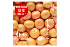 糖度11.0以上　国安さんちの厳選小玉みかん 6kg(3kg×2箱)＜F20-29＞_ みかん ミカン 柑橘 くだもの 果物 フルーツ 温州 小玉 ジューシー 甘い 2箱 セット 常温 デザート 産地直送 産直 愛媛 人気 【1323624】