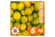 「 極早生 みかん 」約6kg《 愛咲果樹園 》＜C71-2＞_ みかん ミカン 柑橘 くだもの 果物 フルーツ 極早生 早生 温州 甘い 常温 デザート 産地直送 産直 愛媛 【1326990】