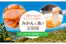 ＜発送月固定定期便＞みかんと魚の定期便～八幡浜の秋冬堪能コース全4回＜H25-88＞_ 定期便 みかん 魚 鯛 温州 ポンカン セット 詰合せ 柑橘 くだもの 産地直送 産直 愛媛 食べ比べ 国産 グルメ お取り寄せ 【4001081】