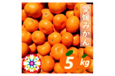 「 愛媛 みかん 」約5kg《 愛咲果樹園 》＜C71-5＞【1331483】
